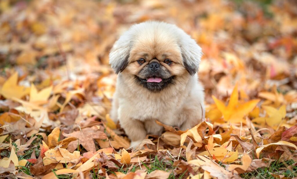 ヒゲ脱毛が効かない理由とは何ですか？