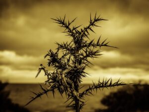 ヒゲ脱毛の痛みは輪ゴムの感覚とどれくらい違うのか？