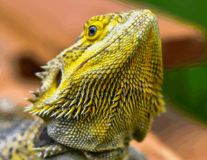 ヒゲ脱毛は痛いの？その実態と対策を徹底解説！