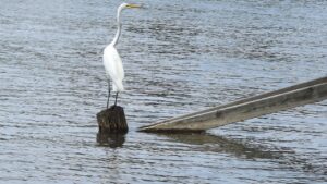 もみあげ脱毛はどこまで効果があるのか？