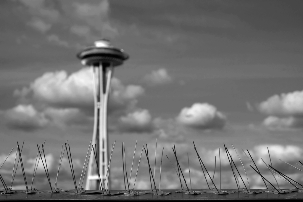 ニードル脱毛のデメリットとは何か？