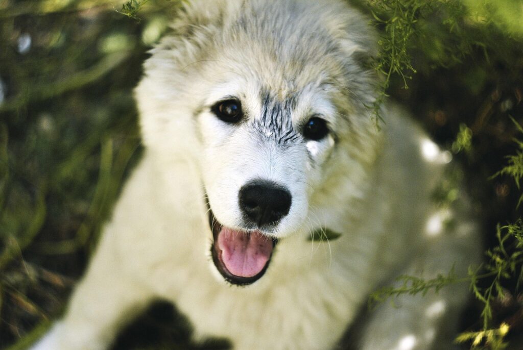 髭脱毛が薄い人におすすめの施術方法は？