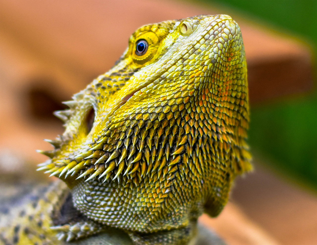 ヒゲ脱毛施術後のケア方法は？