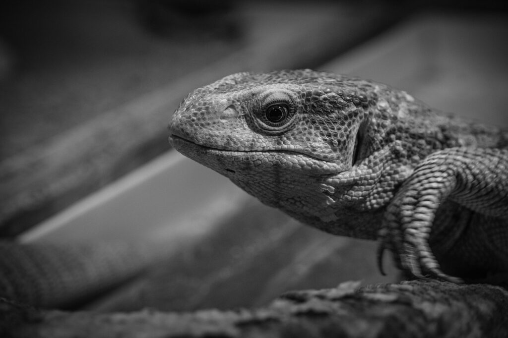 髭を抜くと本当にはげるのか？その真相とは？