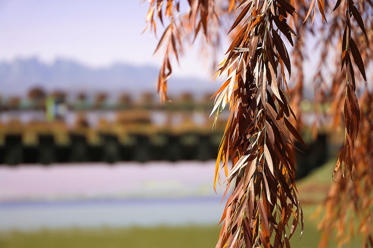 ヒゲ脱毛後の赤みはいつ消えるのか知りたいですか？