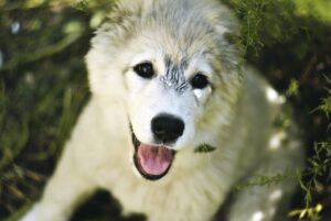 ヒゲ脱毛クリニックの選び方で失敗しないポイントは？