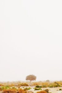 ヒゲ脱毛5回で実感できる効果とは？