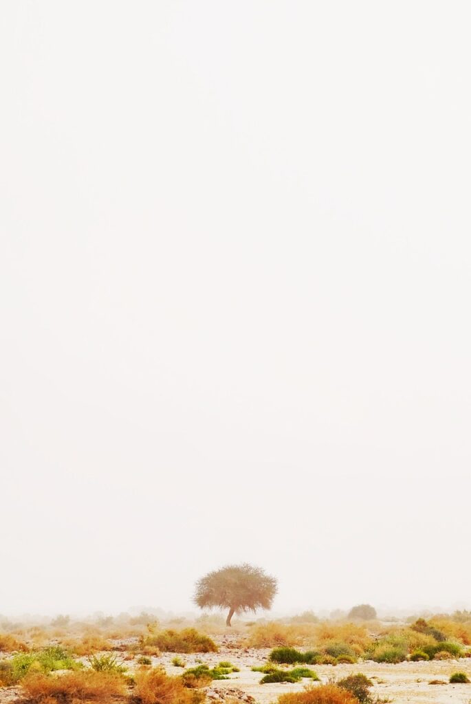 ヒゲ脱毛5回で実感できる効果とは？