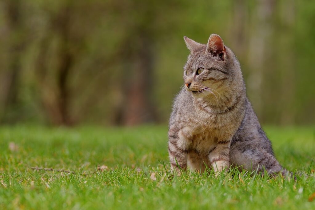 就活生におすすめのヒゲ医療脱毛ができる個室のあるクリニックは？