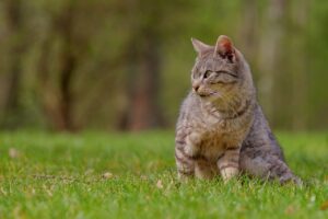 就活生におすすめのヒゲ医療脱毛ができる個室のあるクリニックは？